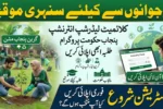 Climate Leadership Development Internship Program Announced by Punjab Govt