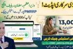 Prime Minister Ramzan Relief Package 2026 – Rs13,000 CNIC Check via PMRRP Portal