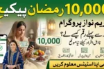 Rs10000 Maryam Nawaz Ramzan Relief Package 2026 Status Check, Apply Online Portal and Beneficiary